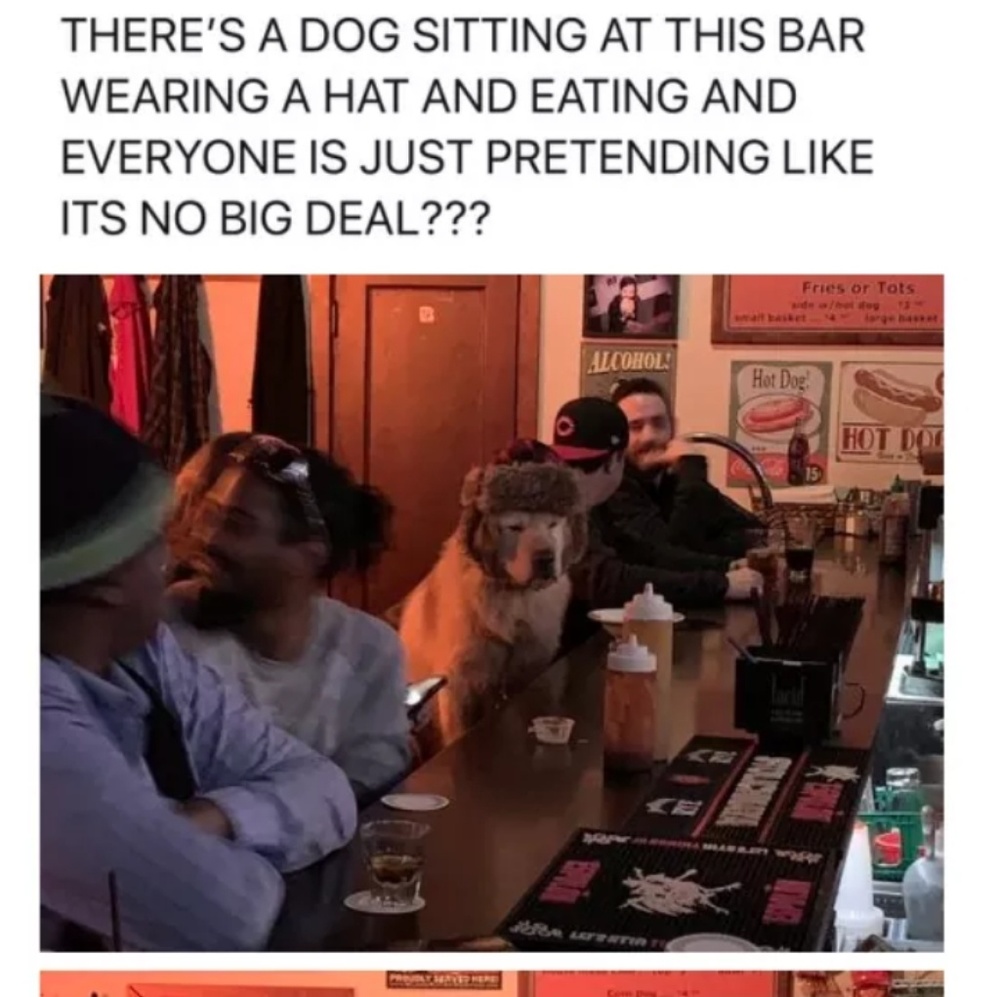 Meet your Posher, Evie